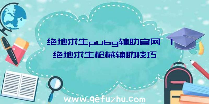 「绝地求生pubg辅助官网」|绝地求生枪械辅助技巧